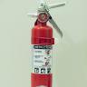 Amerex 2.5 lb. ABC #AX417
